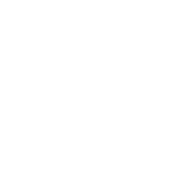 adv1